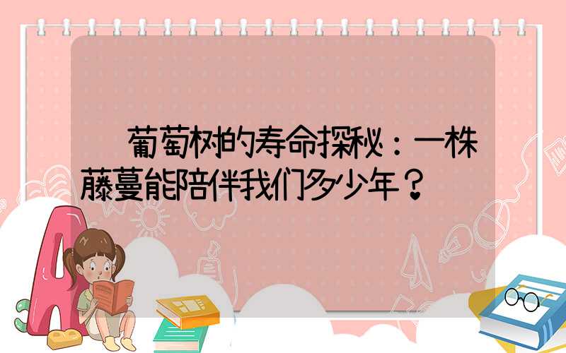  葡萄树的寿命探秘：一株藤蔓能陪伴我们多少年？
